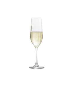 Tritan-Forte-7.7oz-Champagne-Flute-Rentals-Richmond-VA